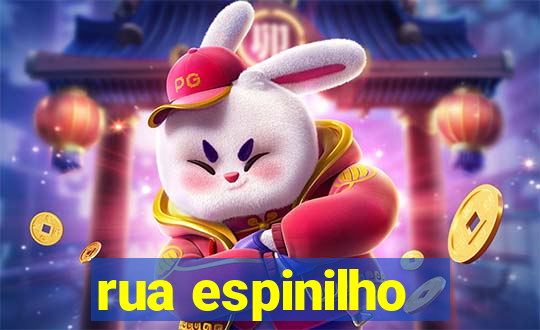 rua espinilho - guarani novo hamburgo - rs 298